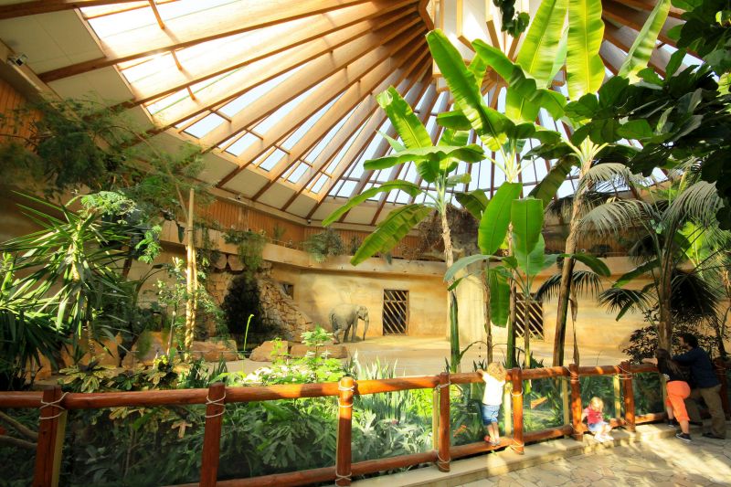 ZOO
